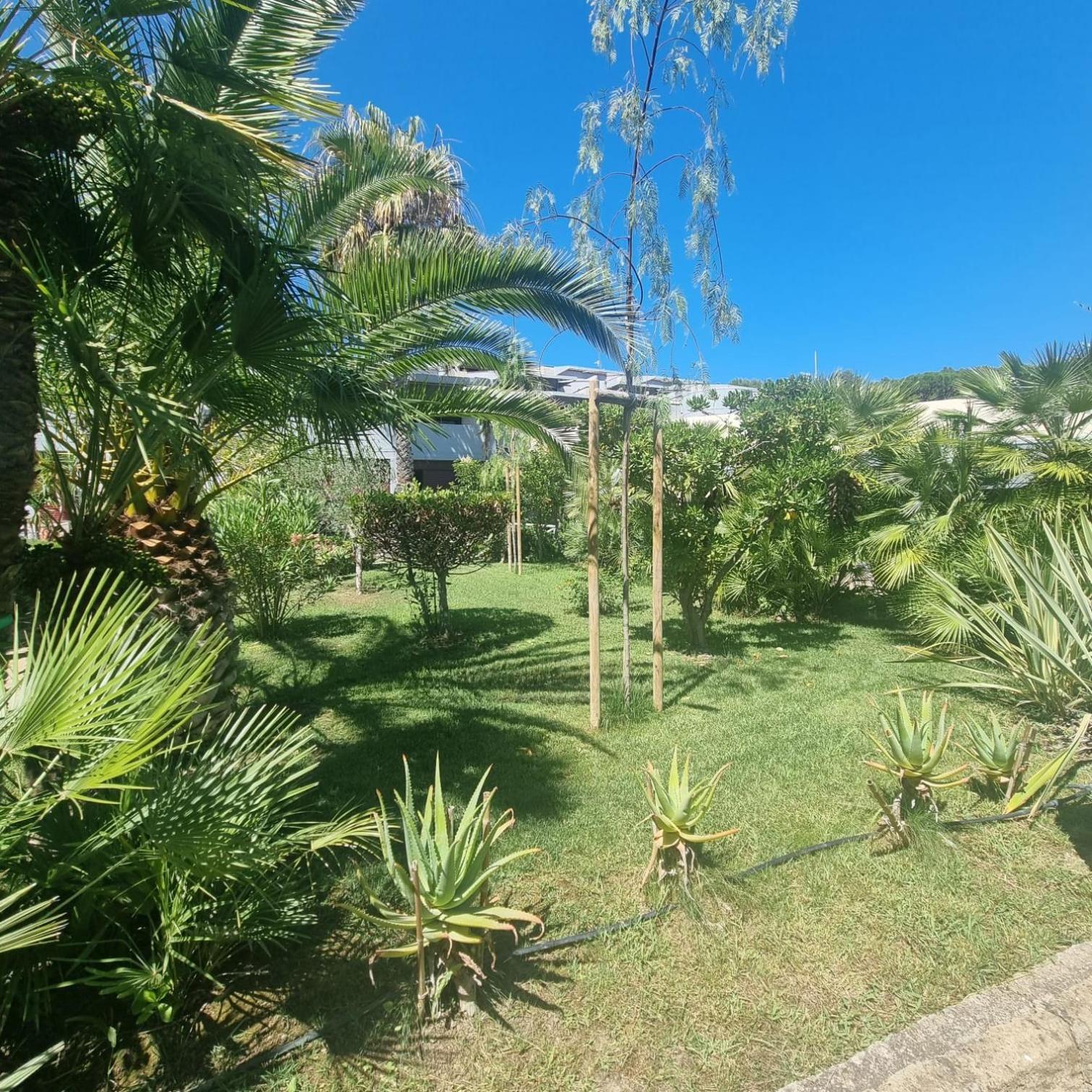 Residence Solemaremma Castiglione della Pescaia Exteriér fotografie